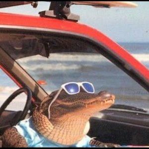 Meet your Posher, Alex